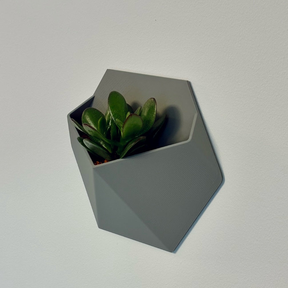 أصيص نبات جداري بتصميم بسيط🌿