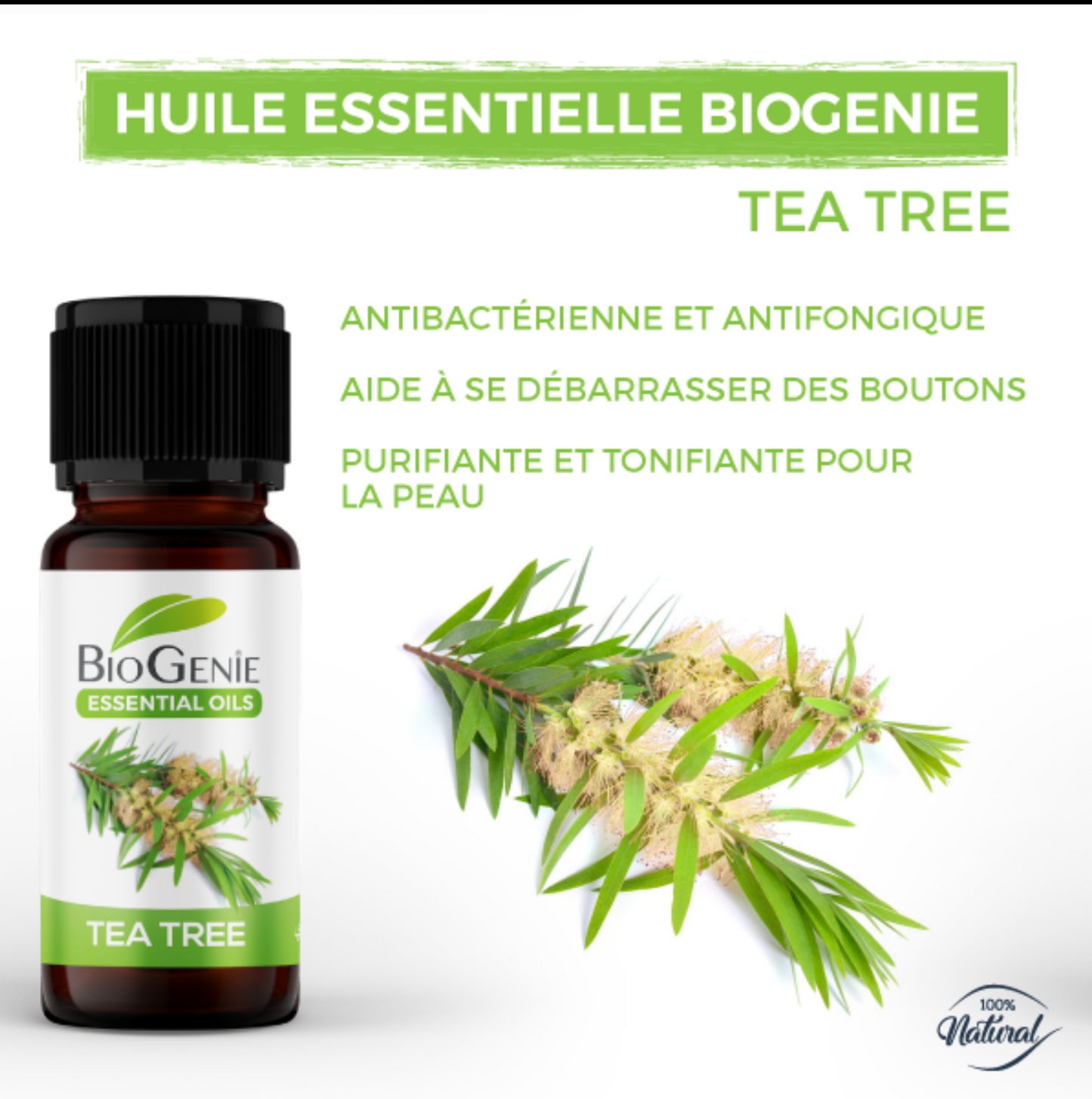 Huile Essentielle Tea Tree 10ML زيت شجرة الشاي الأساسي قارورة 10 ملل